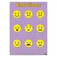 پوستر آموزشی مستر راد طرح شکلکها مدل emociones83423-08